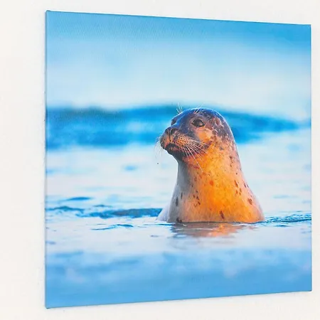 Ferienhaeuser Nordseebrise * בנסרסיל